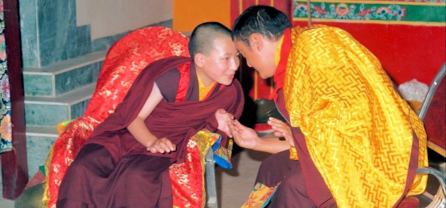 Shamar Rinpochen parinirvanan 8. vuosipäivä